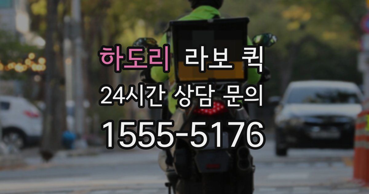 하도리 라보 퀵