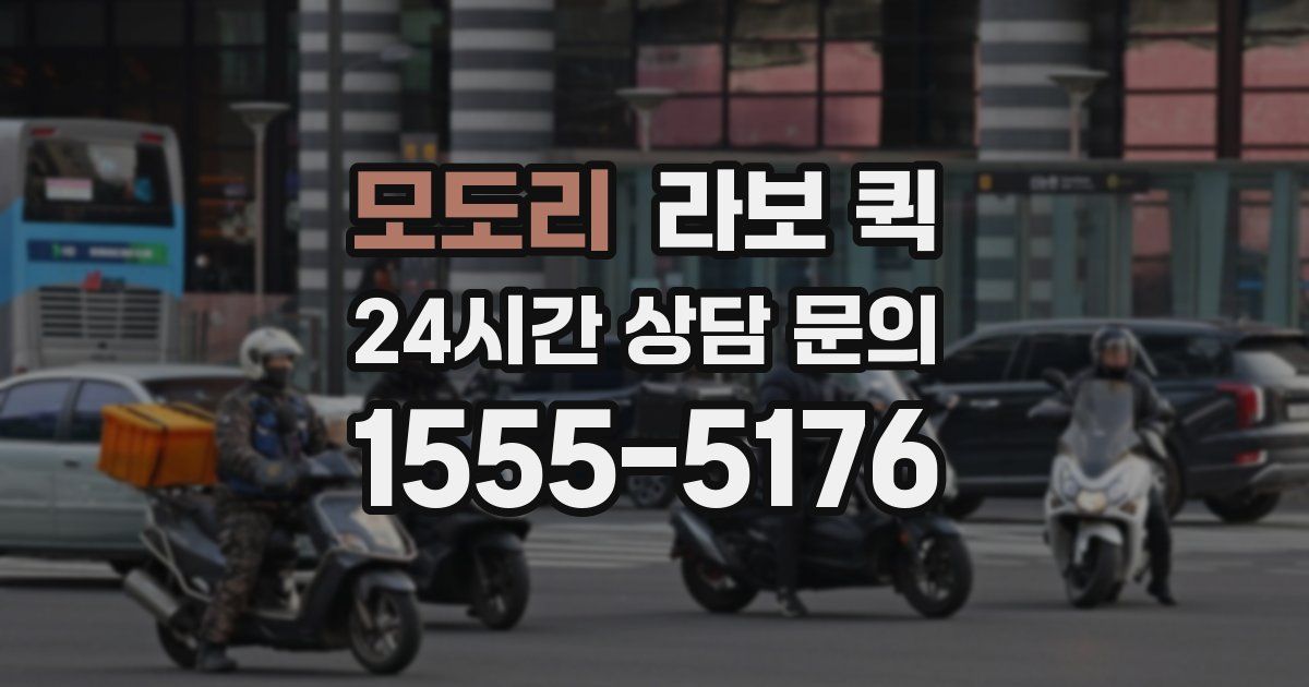 모도리 라보 퀵