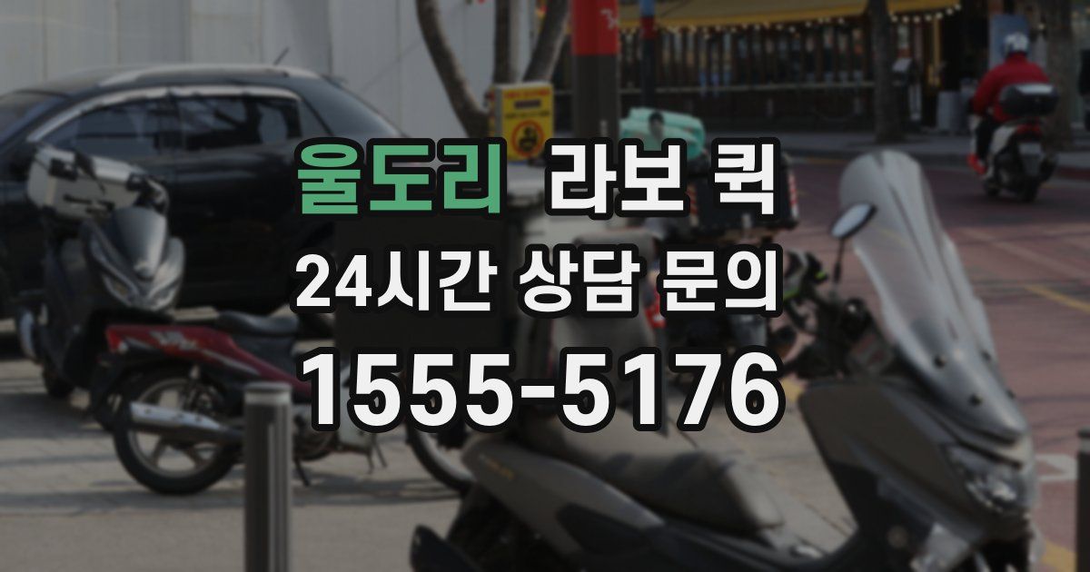 울도리 라보 퀵