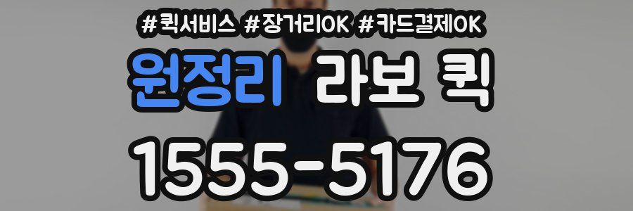 원정리 라보 퀵