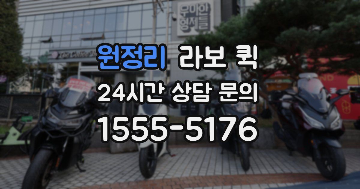 원정리 라보 퀵