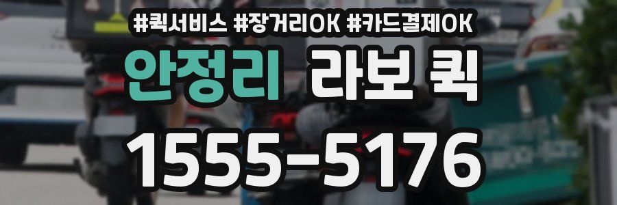 안정리 라보 퀵