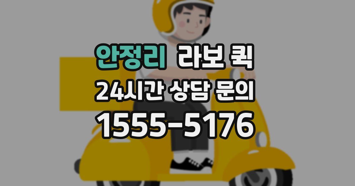 안정리 라보 퀵