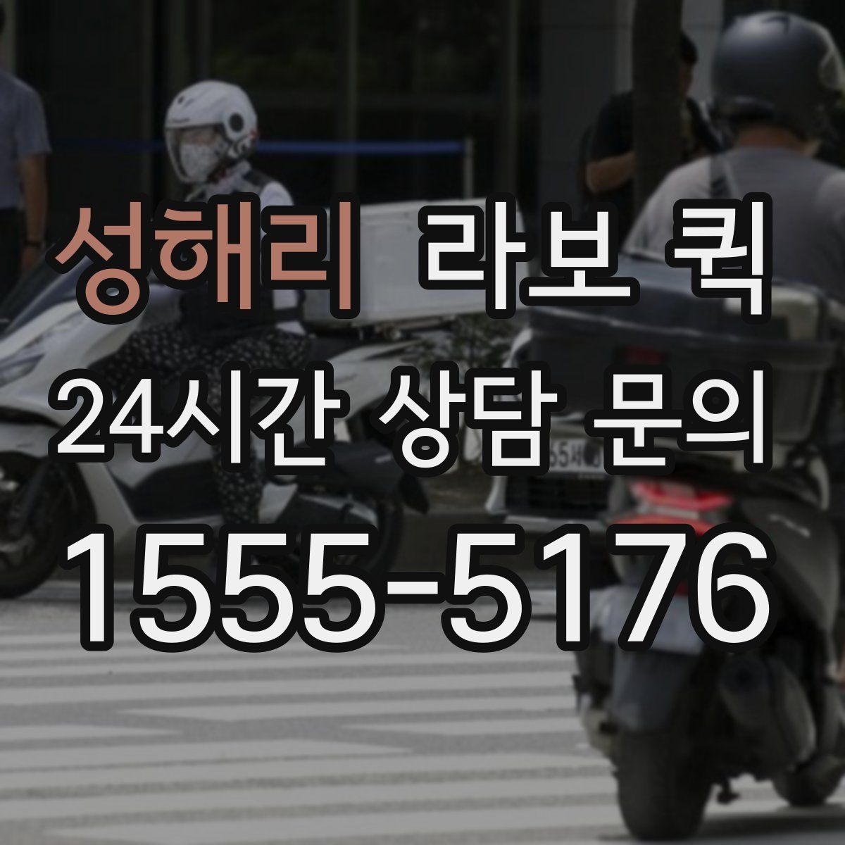 성해리 라보 퀵