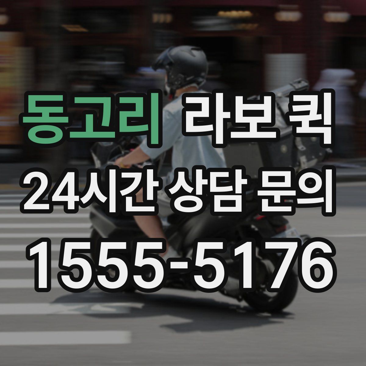 동고리 라보 퀵