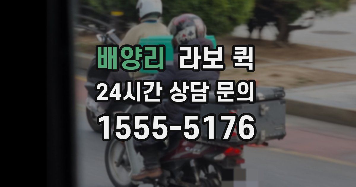 배양리 라보 퀵