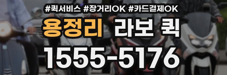 용정리 라보 퀵