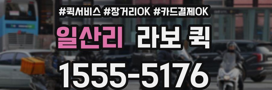 일산리 라보 퀵