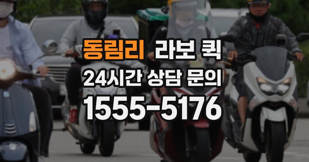 동림리 라보 퀵