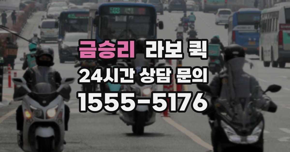 금승리 라보 퀵