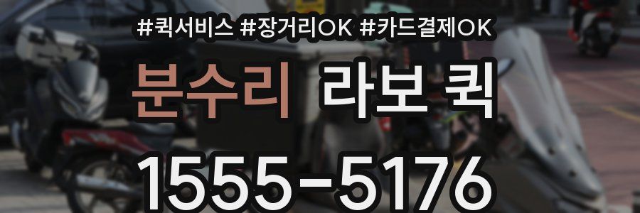 분수리 라보 퀵