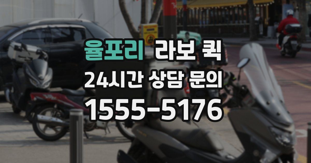 율포리 라보 퀵