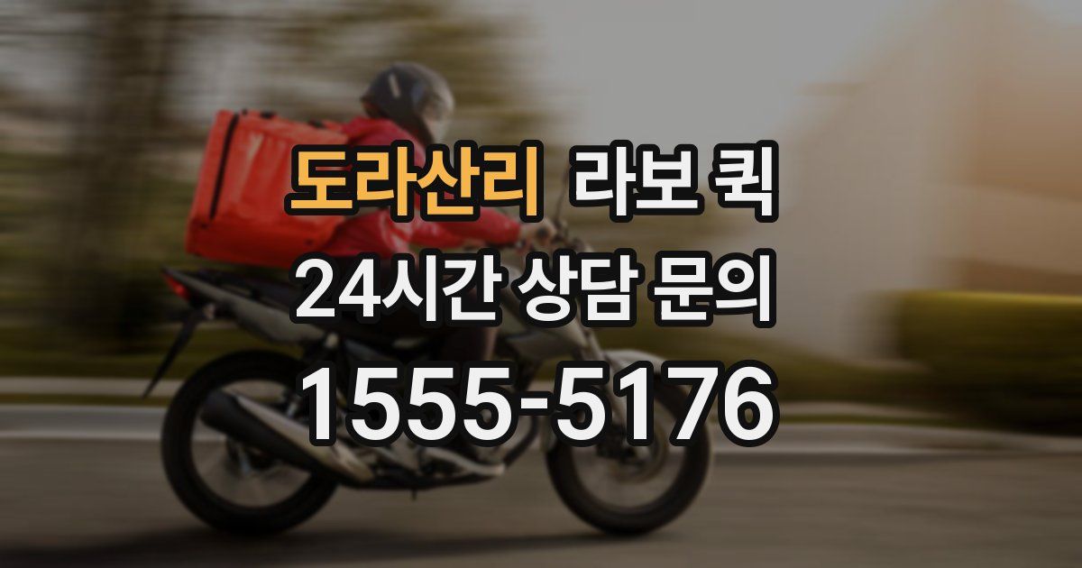 도라산리 라보 퀵