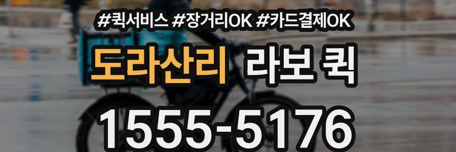 도라산리 라보 퀵