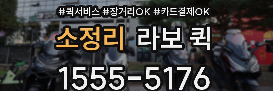 소정리 라보 퀵