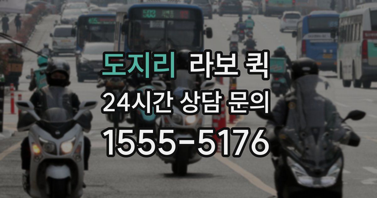 도지리 라보 퀵