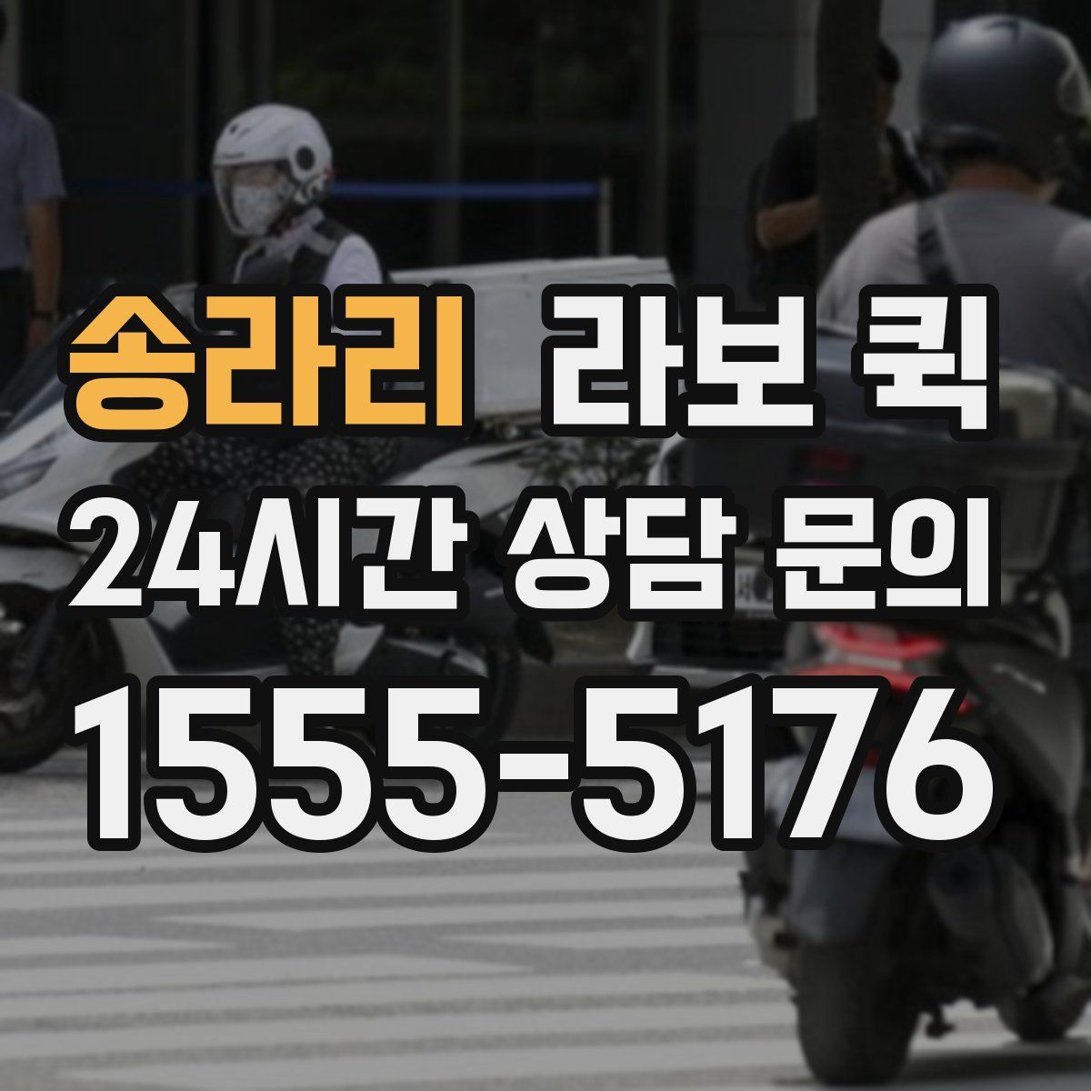 송라리 라보 퀵