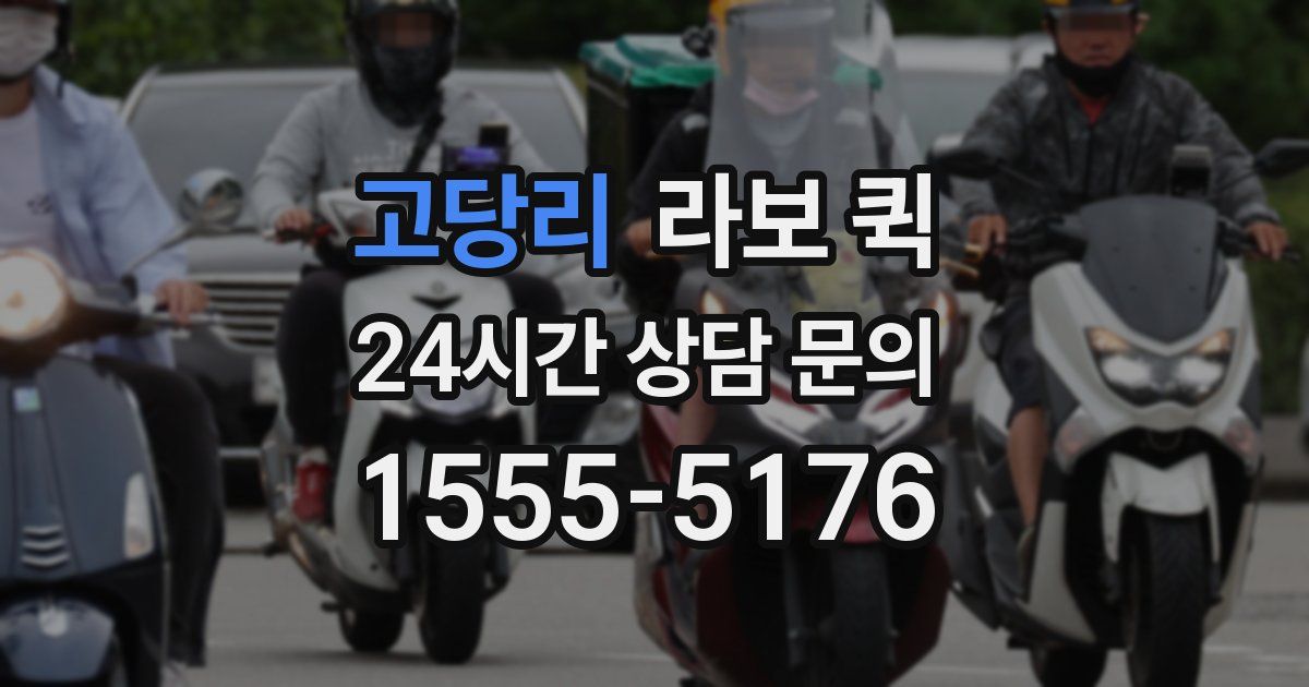 고당리 라보 퀵