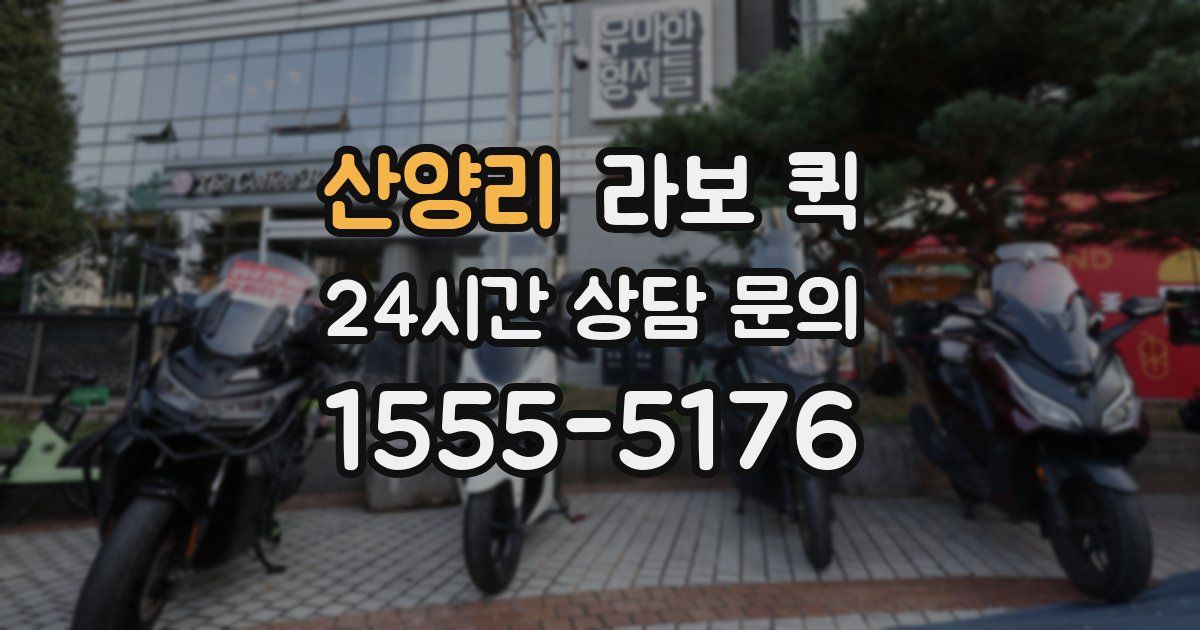 산양리 라보 퀵