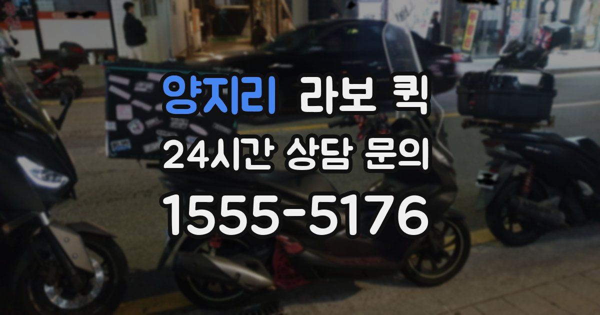 양지리 라보 퀵