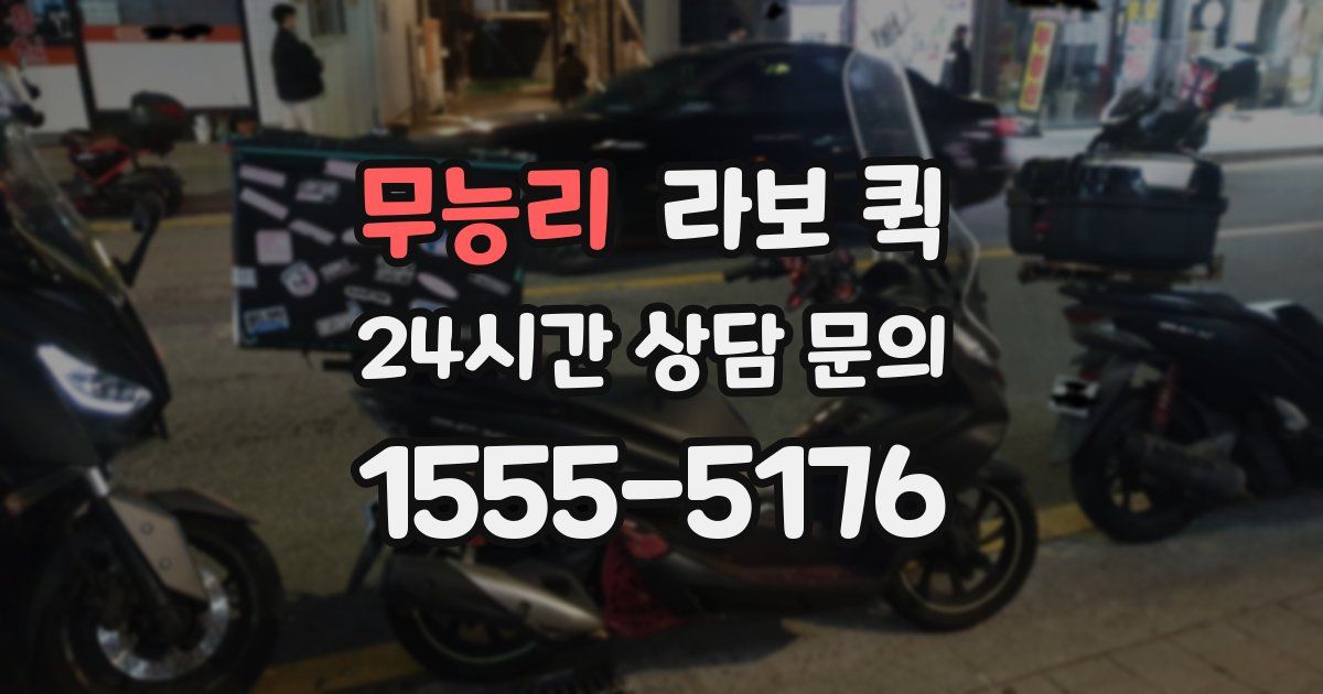 무능리 라보 퀵