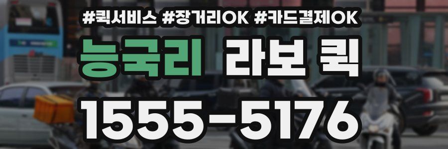 능국리 라보 퀵