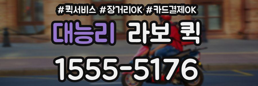 대능리 라보 퀵