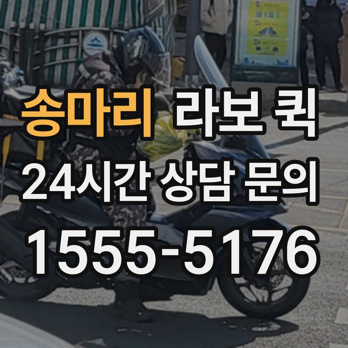 송마리 라보 퀵