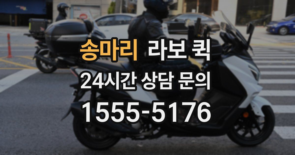 송마리 라보 퀵
