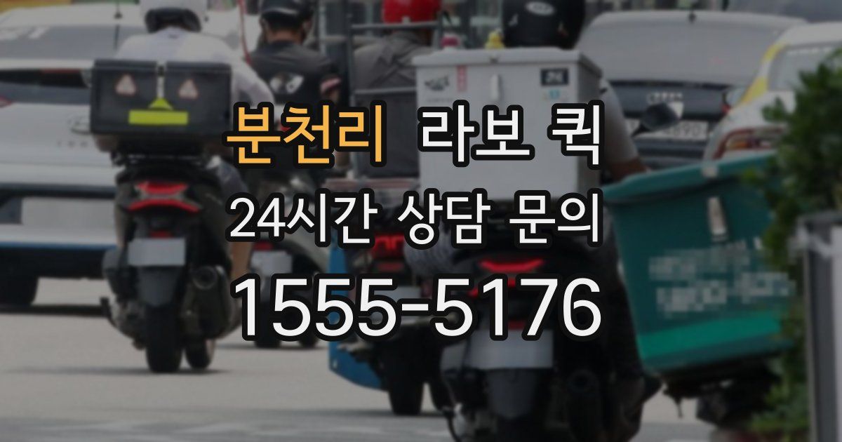 분천리 라보 퀵