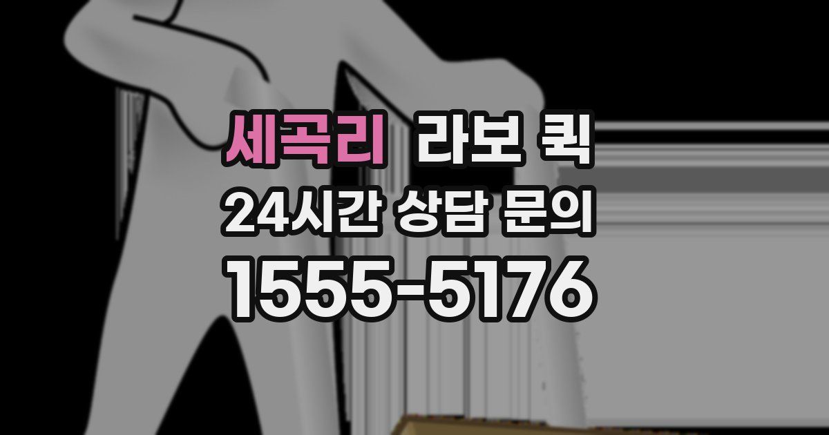 세곡리 라보 퀵