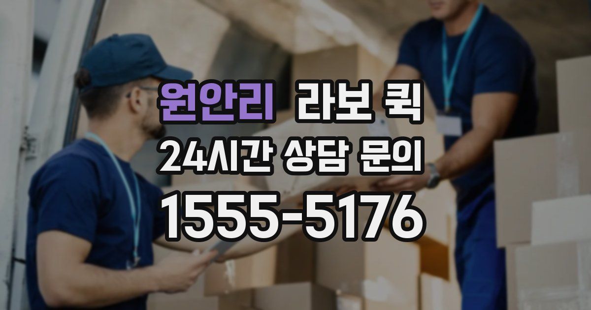 원안리 라보 퀵