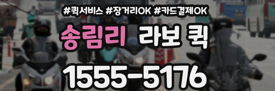 송림리 라보 퀵