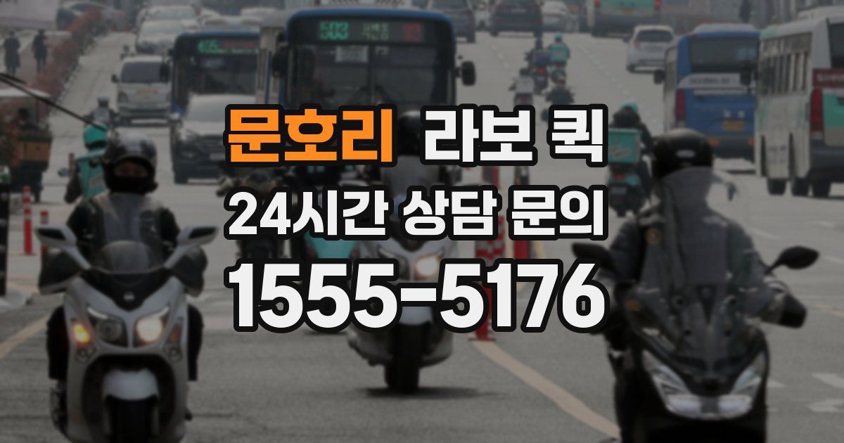 문호리 라보 퀵