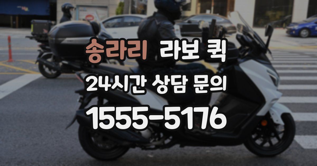 송라리 라보 퀵