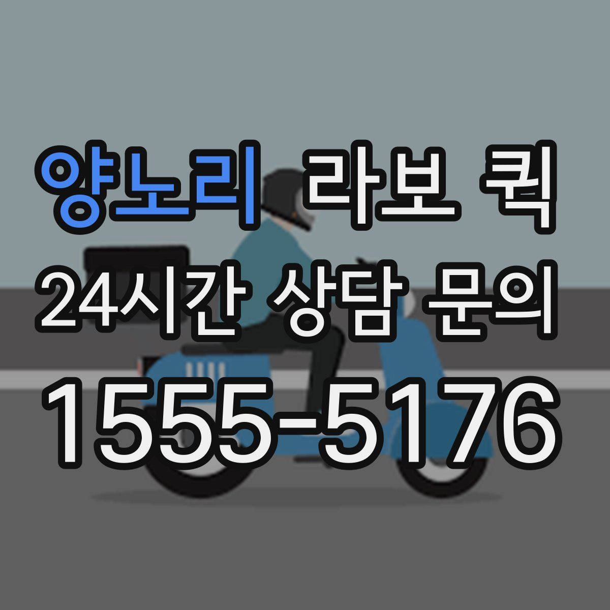 양노리 라보 퀵