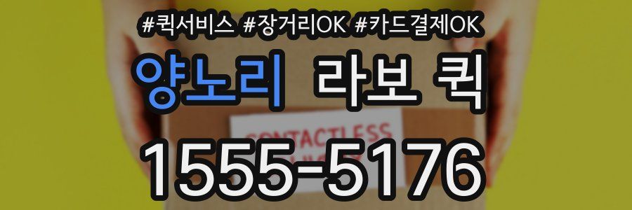 양노리 라보 퀵