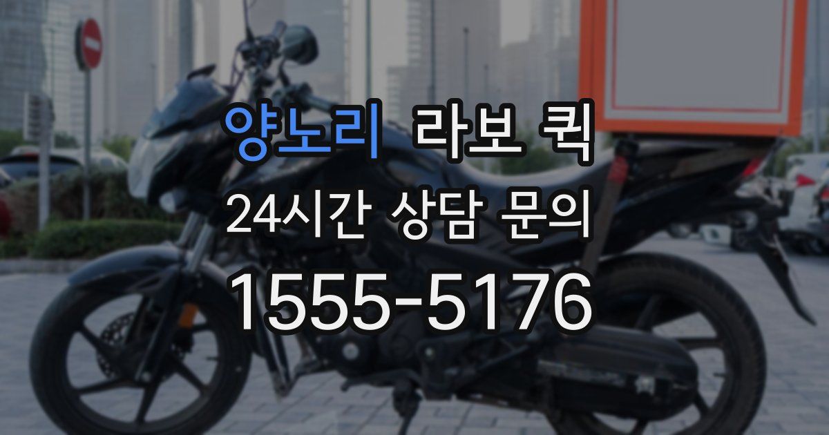 양노리 라보 퀵