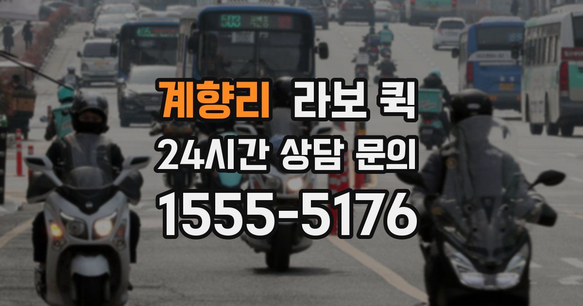 계향리 라보 퀵