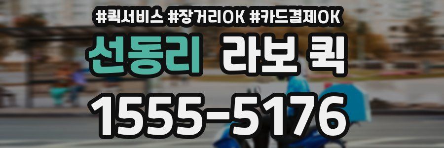 선동리 라보 퀵