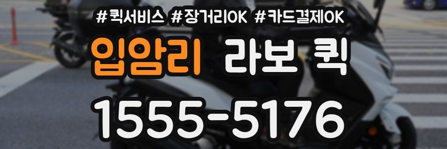 입암리 라보 퀵