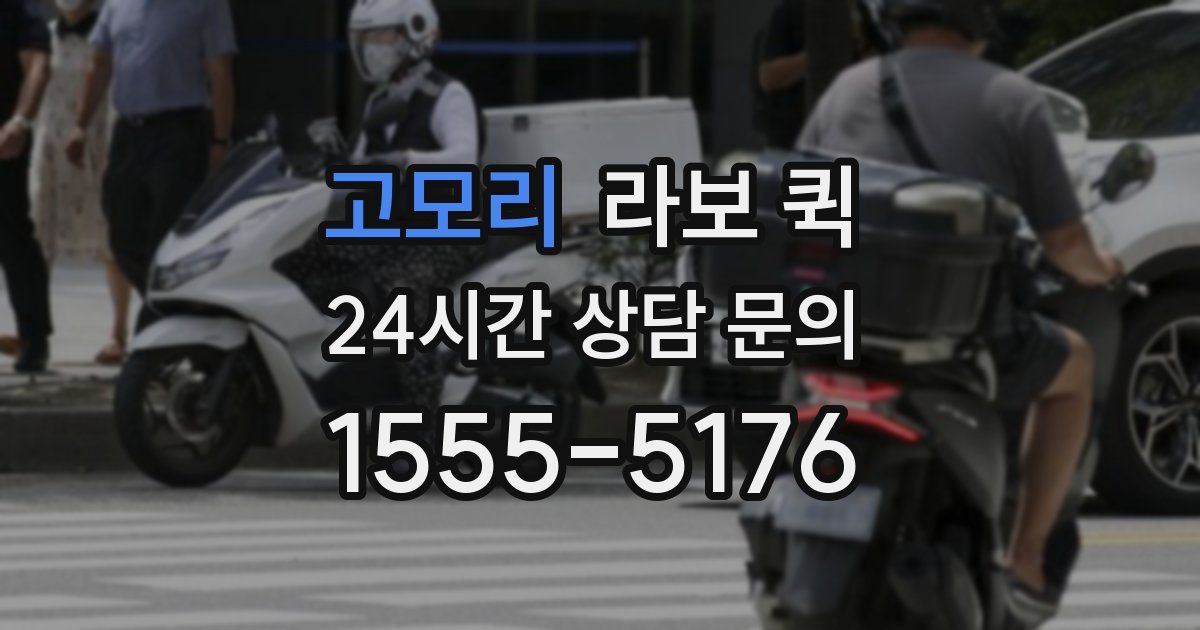 고모리 라보 퀵