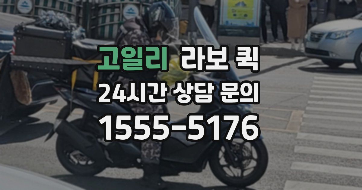 고일리 라보 퀵