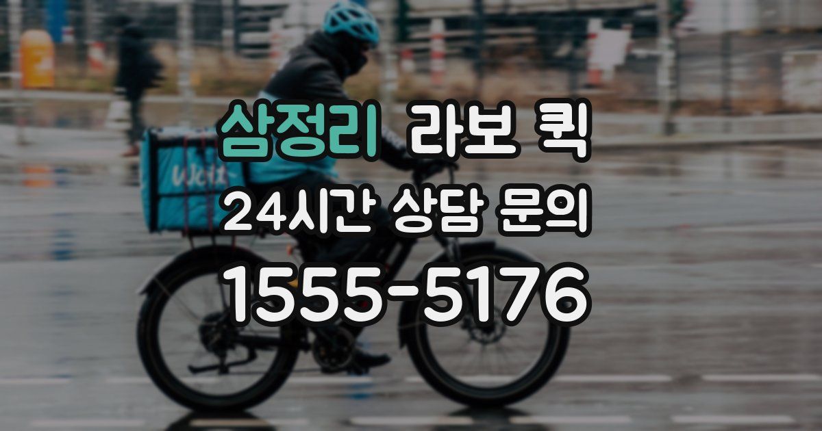 삼정리 라보 퀵