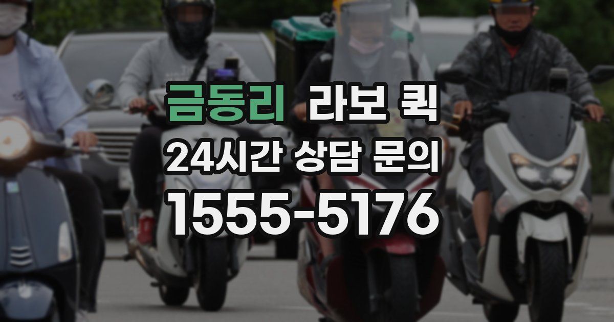 금동리 라보 퀵