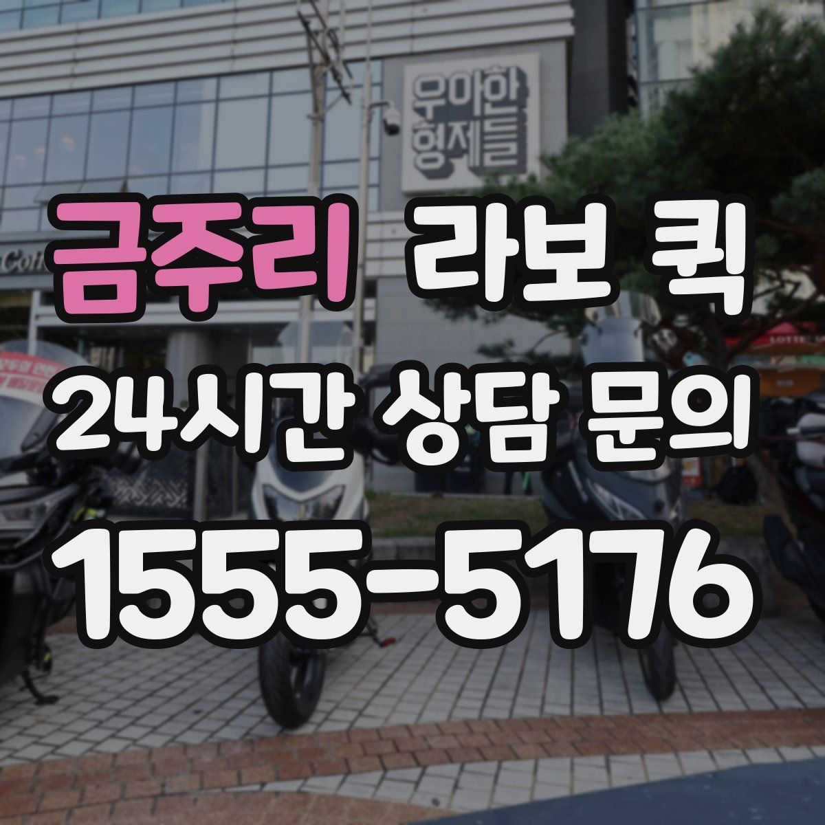 금주리 라보 퀵