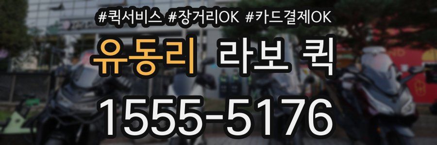 유동리 라보 퀵