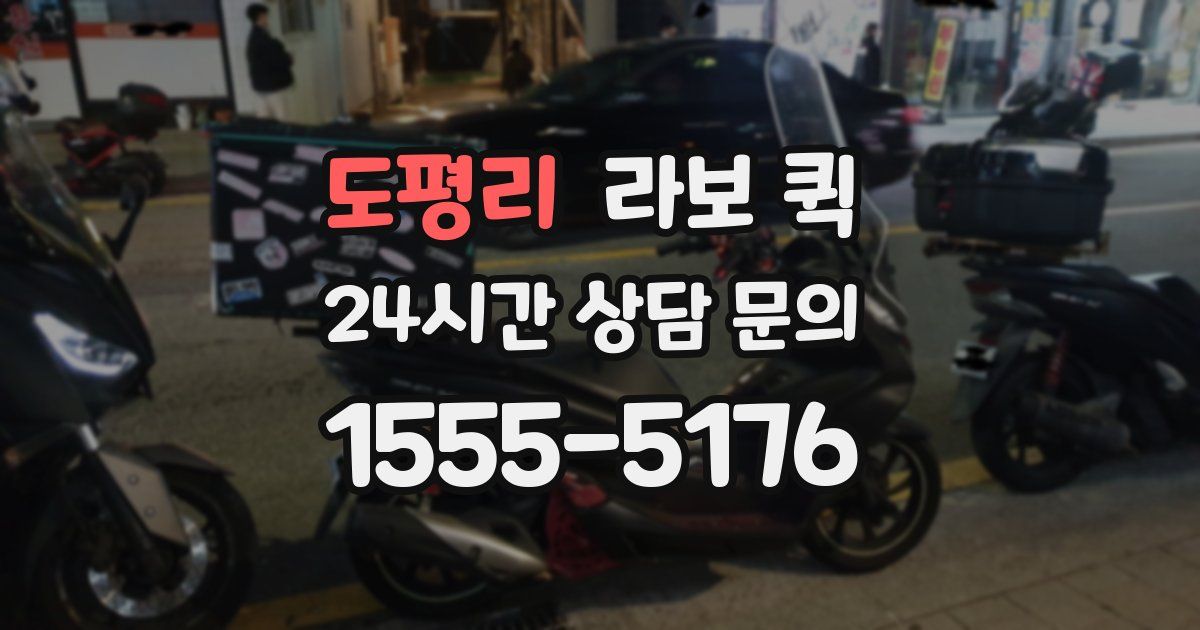 도평리 라보 퀵