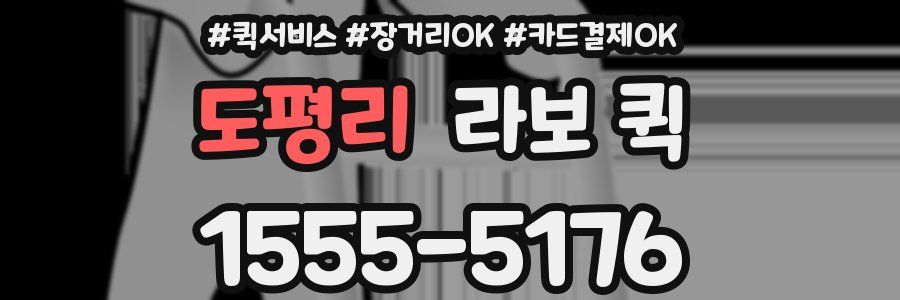 도평리 라보 퀵