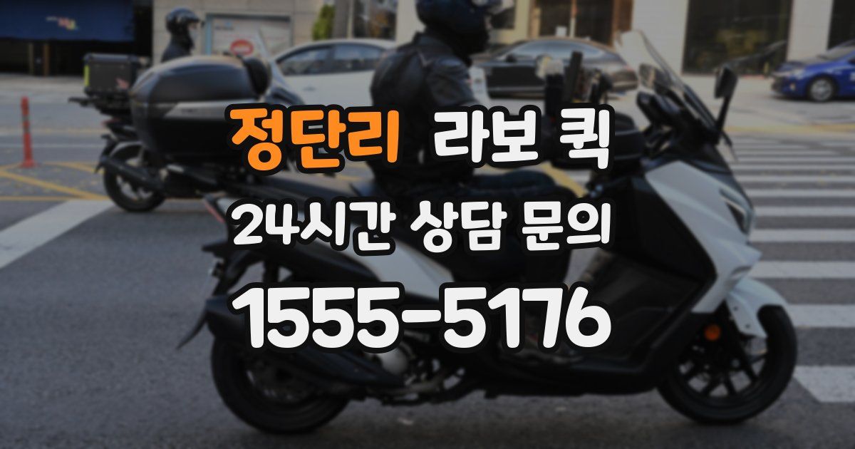 정단리 라보 퀵